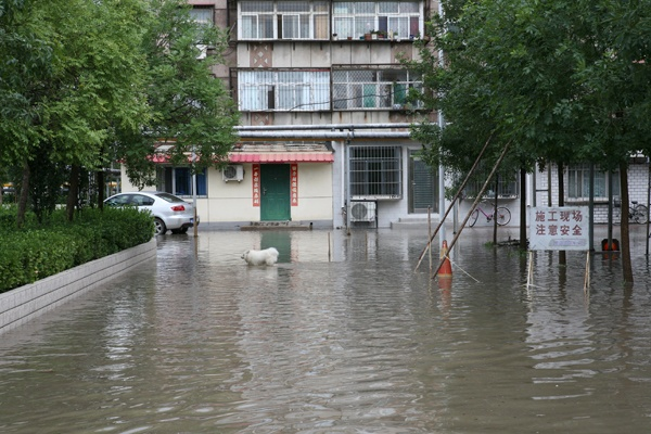 西安蓝田暴雨致部分地区信号中断，这场暴雨还给当地造成了哪些影响？