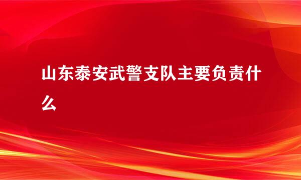 山东泰安武警支队主要负责什么