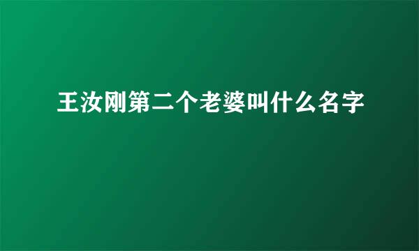 王汝刚第二个老婆叫什么名字