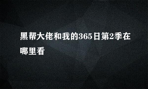 黑帮大佬和我的365日第2季在哪里看