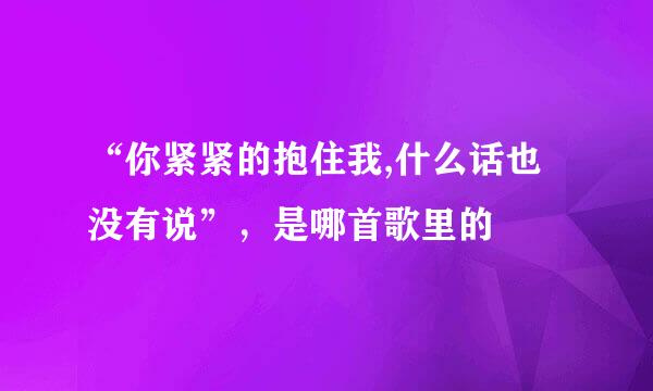 “你紧紧的抱住我,什么话也没有说”，是哪首歌里的