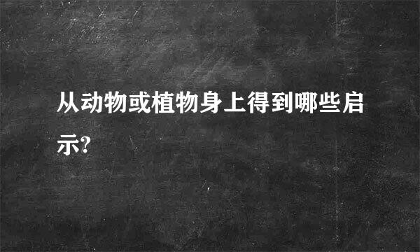 从动物或植物身上得到哪些启示?