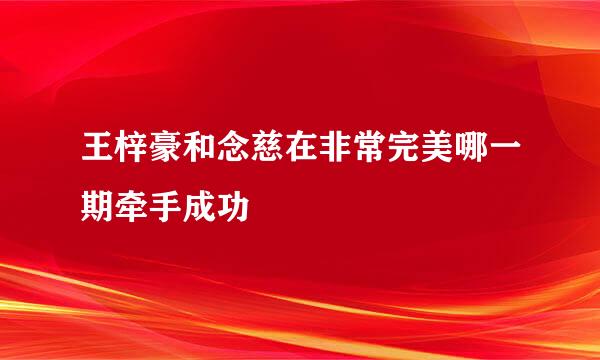 王梓豪和念慈在非常完美哪一期牵手成功