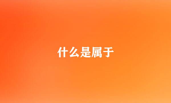 什么是属于