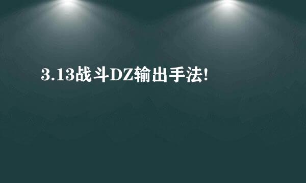 3.13战斗DZ输出手法!