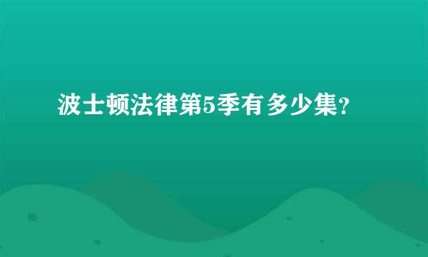 波士顿法律第5季有多少集？