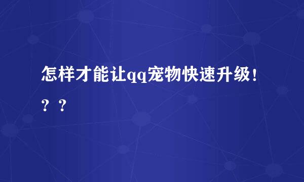 怎样才能让qq宠物快速升级！？？