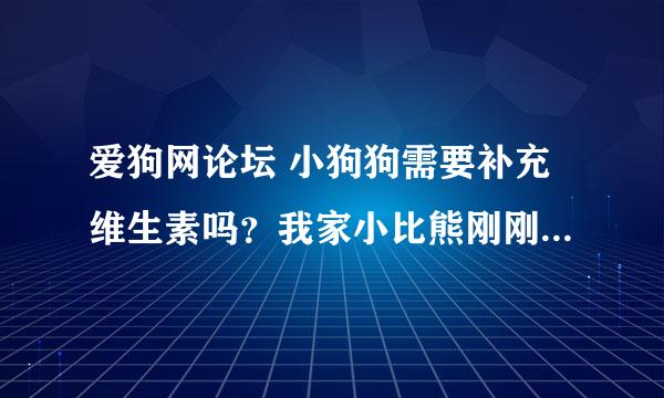 爱狗网论坛 小狗狗需要补充维生素吗？我家小比熊刚刚2个月，现在特爱咬东西，请问需要补充维生素