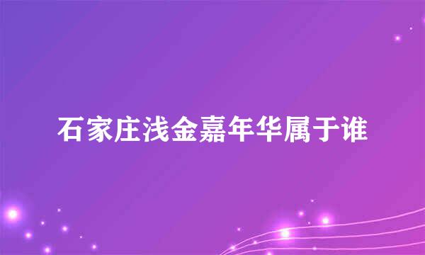 石家庄浅金嘉年华属于谁