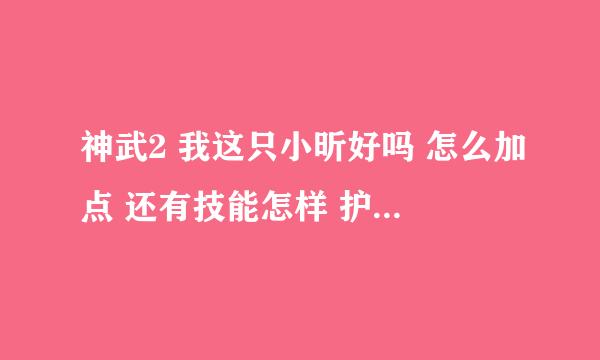 神武2 我这只小昕好吗 怎么加点 还有技能怎样 护符加什么