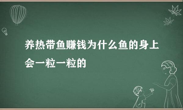 养热带鱼赚钱为什么鱼的身上会一粒一粒的