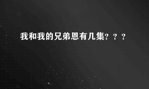 我和我的兄弟恩有几集？？？