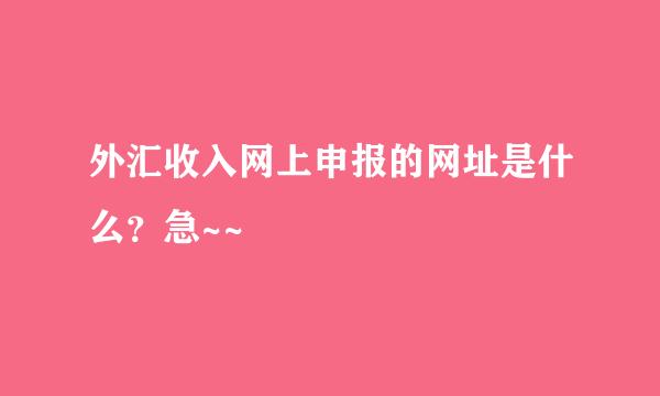 外汇收入网上申报的网址是什么？急~~