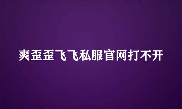 爽歪歪飞飞私服官网打不开