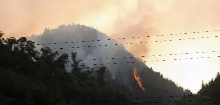 重庆巴南突发山火，浓烟飘向居民区，发生山火的主要原因是什么？