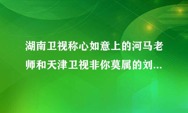 湖南卫视称心如意上的河马老师和天津卫视非你莫属的刘惠普是一个人吗？