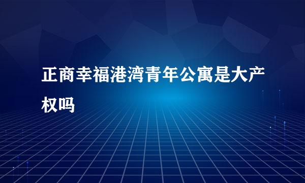 正商幸福港湾青年公寓是大产权吗