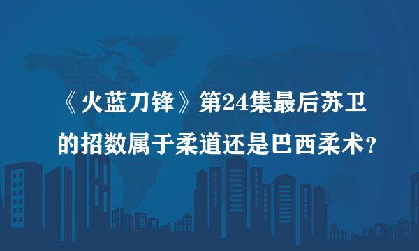 《火蓝刀锋》第24集最后苏卫的招数属于柔道还是巴西柔术？