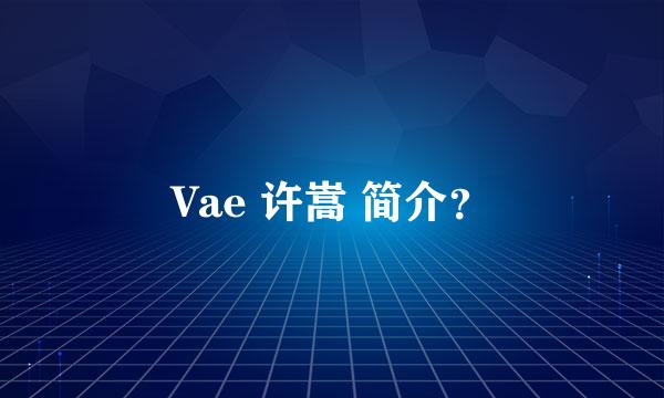 Vae 许嵩 简介？