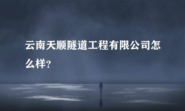 云南天顺隧道工程有限公司怎么样？