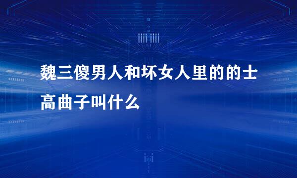 魏三傻男人和坏女人里的的士高曲子叫什么