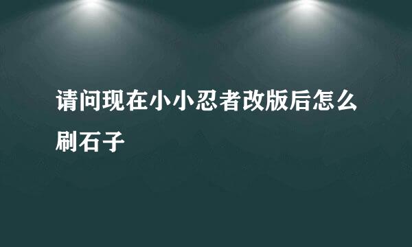 请问现在小小忍者改版后怎么刷石子