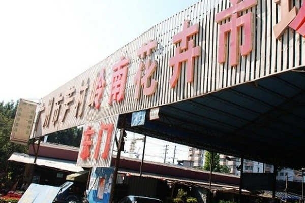 花卉市场批发在哪里?