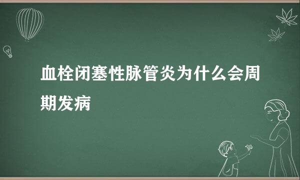 血栓闭塞性脉管炎为什么会周期发病