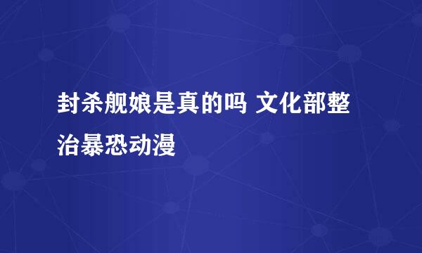 封杀舰娘是真的吗 文化部整治暴恐动漫