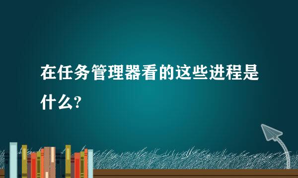 在任务管理器看的这些进程是什么?