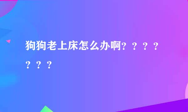 狗狗老上床怎么办啊？？？？？？？