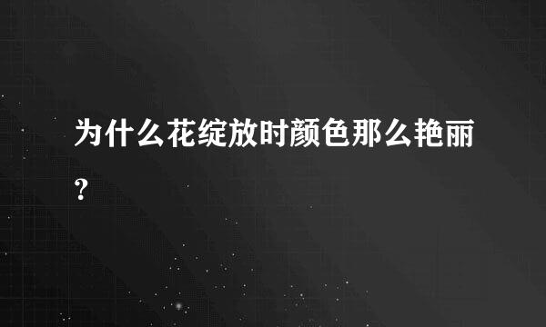 为什么花绽放时颜色那么艳丽？