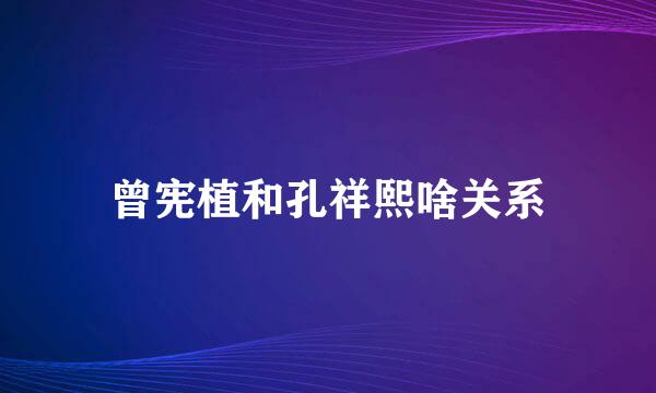 曾宪植和孔祥熙啥关系