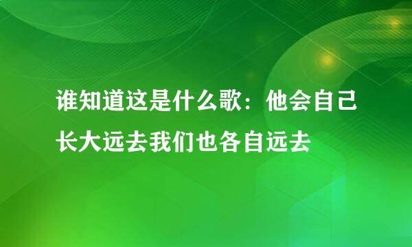 谁知道这是什么歌：他会自己长大远去我们也各自远去