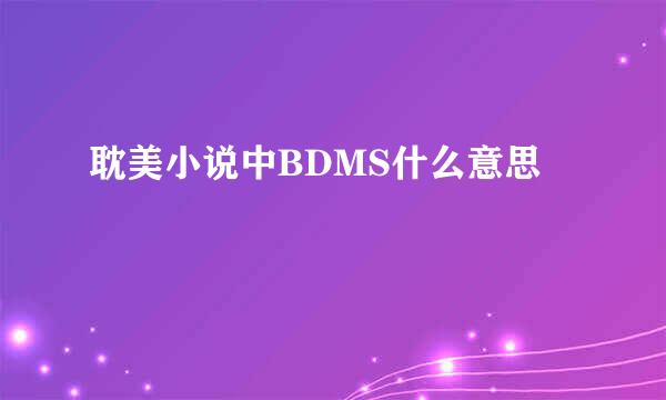 耽美小说中BDMS什么意思