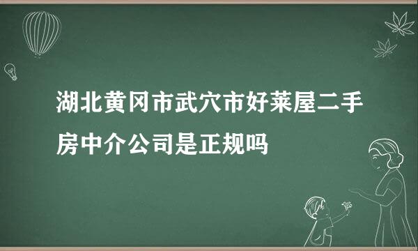 湖北黄冈市武穴市好莱屋二手房中介公司是正规吗