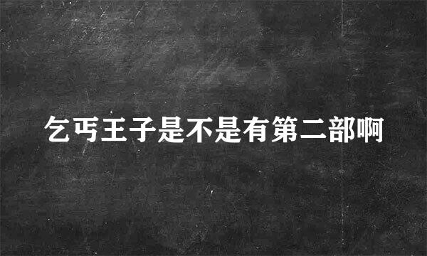 乞丐王子是不是有第二部啊