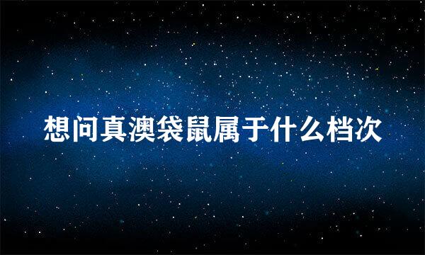 想问真澳袋鼠属于什么档次