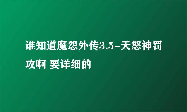 谁知道魔怨外传3.5-天怒神罚攻啊 要详细的