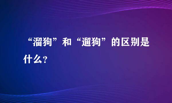 “溜狗”和“遛狗”的区别是什么？