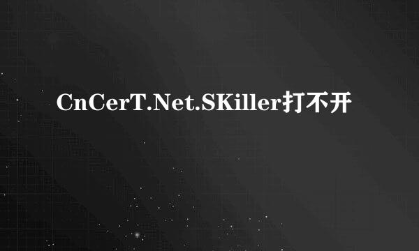 CnCerT.Net.SKiller打不开