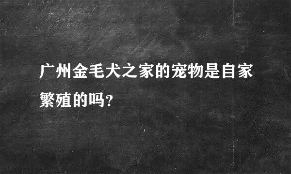 广州金毛犬之家的宠物是自家繁殖的吗？