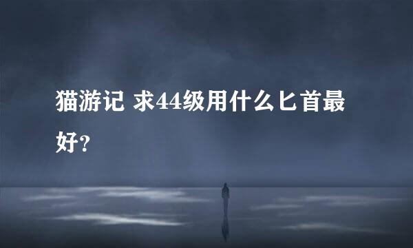 猫游记 求44级用什么匕首最好？