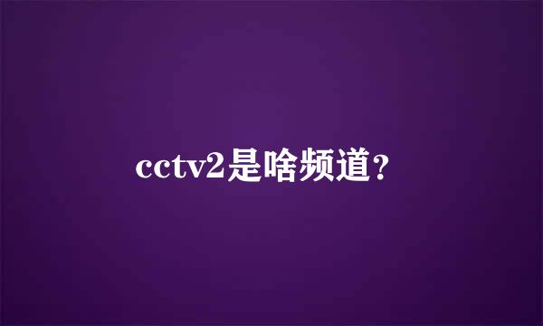 cctv2是啥频道？