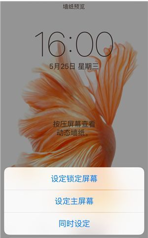 苹果6s3d touch 设置动态屏保怎么设置