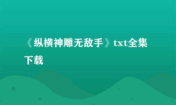 《纵横神雕无敌手》txt全集下载