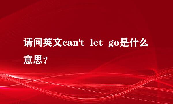 请问英文can't  let  go是什么意思？