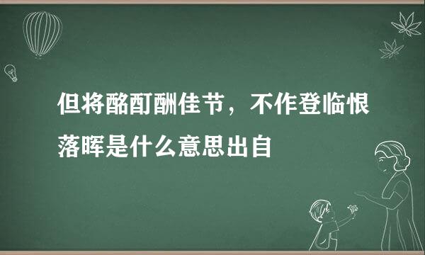 但将酩酊酬佳节，不作登临恨落晖是什么意思出自