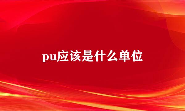 pu应该是什么单位