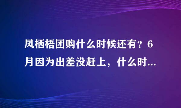 凤栖梧团购什么时候还有？6月因为出差没赶上，什么时候还有团购，什么时候还有团购，谁能告诉我 谢谢